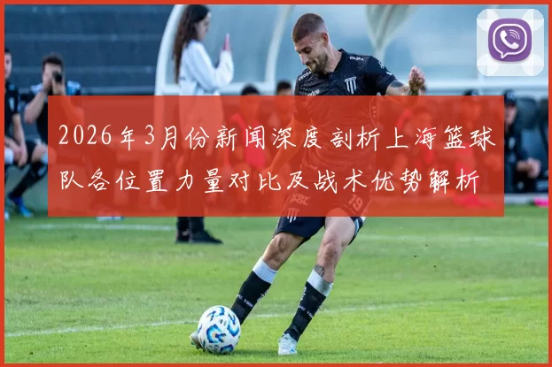 2026年3月份新闻深度剖析上海篮球队各位置力量对比及战术优势解析
